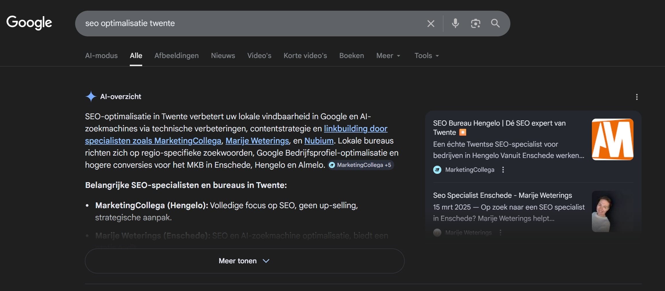 Google AI-overzicht voor de zoekopdracht SEO optimalisatie Twente — Marije Weterings wordt bij naam genoemd